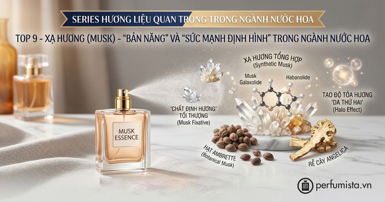 top 9 xa huong musk ban nang va suc manh dinh hinh trong nganh nuoc hoa